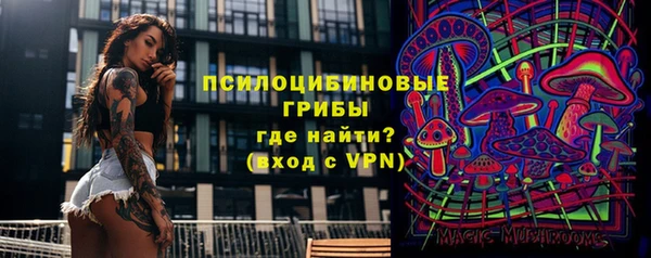 ГАЛЛЮЦИНОГЕННЫЕ ГРИБЫ Алзамай