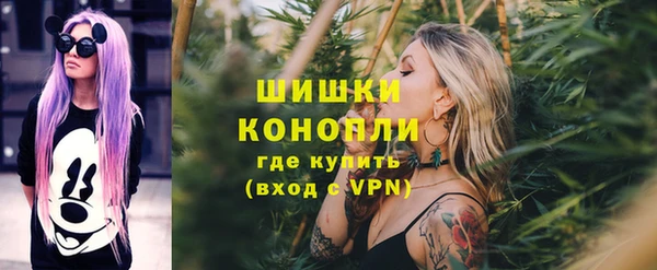 ГАЛЛЮЦИНОГЕННЫЕ ГРИБЫ Алзамай