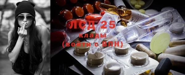 ГАЛЛЮЦИНОГЕННЫЕ ГРИБЫ Алзамай