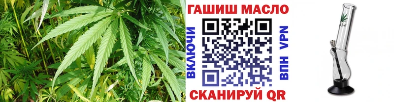 где можно купить наркотик  Петровск-Забайкальский  ТГК концентрат 