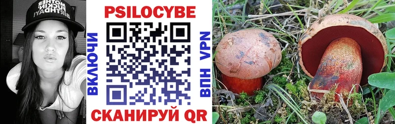 Галлюциногенные грибы Psilocybine cubensis  Петровск-Забайкальский 